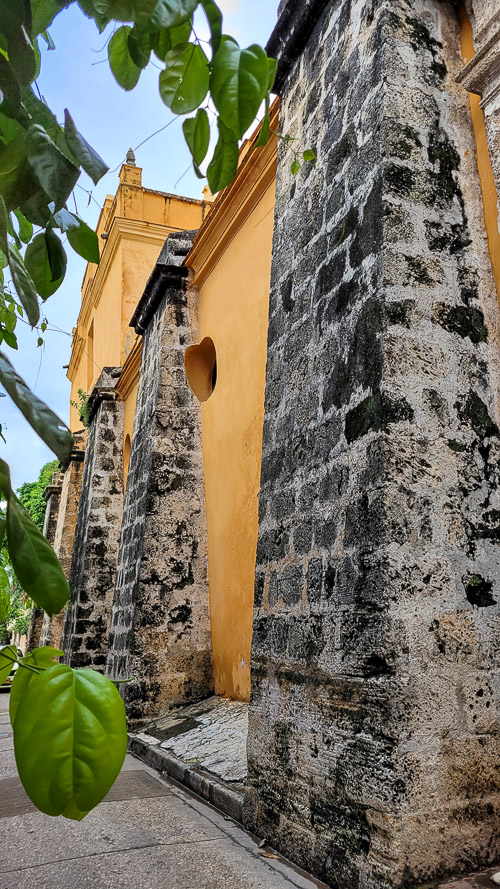 DSC_6058_20241111_112632.jpg