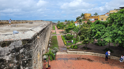 DSC_6076_20241111_113615.jpg