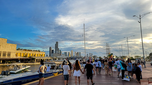 DSC_6282_20241111_170742.jpg