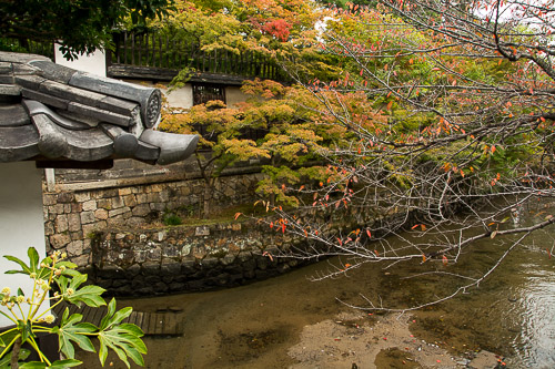 dsc_0166.jpg