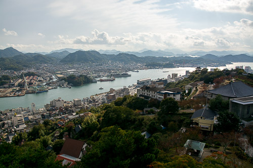 dsc_0253.jpg