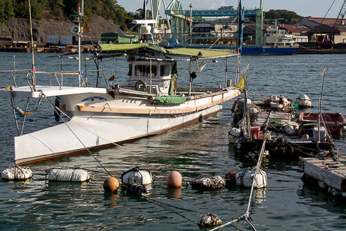 dsc_0274.jpg
