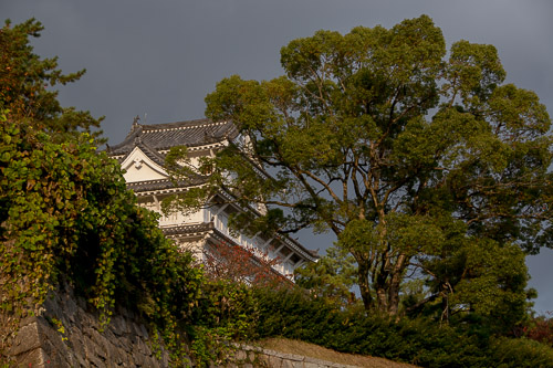 dsc_0277.jpg