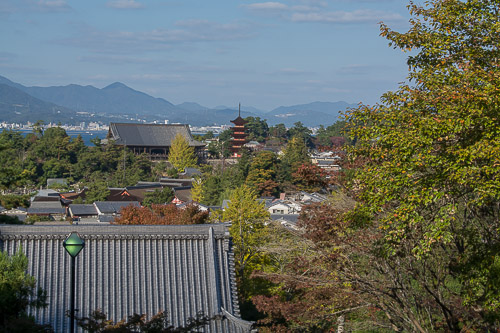 dsc_0405.jpg
