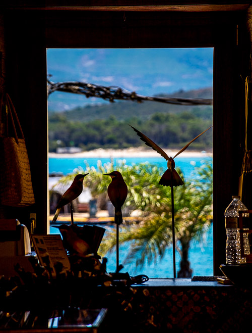 DSC_5655.jpg