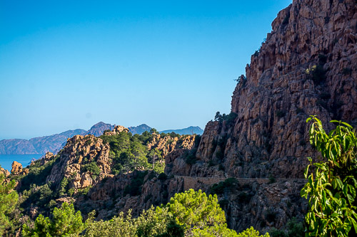 DSC_6019.jpg