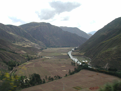p6110005.jpg