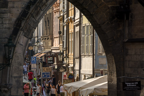 dsc_4917.jpg
