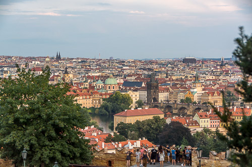 dsc_5047.jpg