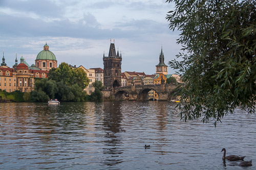 dsc_5059.jpg