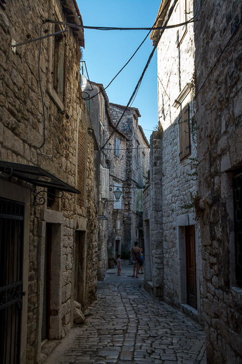 dsc_6445.jpg