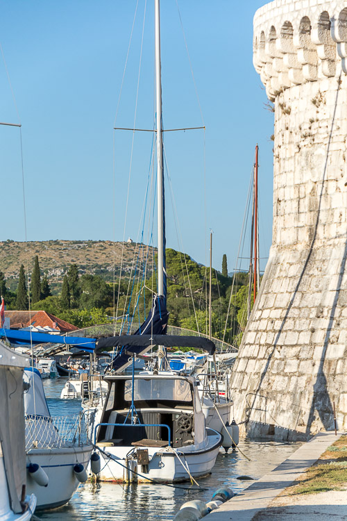 dsc_6484.jpg