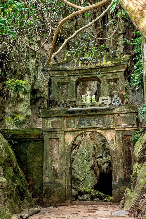 DSC_7264.jpg