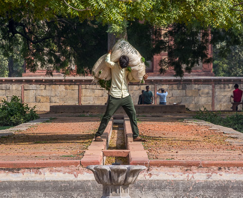 DSC_8432.jpg