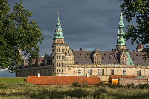 DSC_7435.jpg