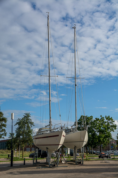 DSC_7437.jpg