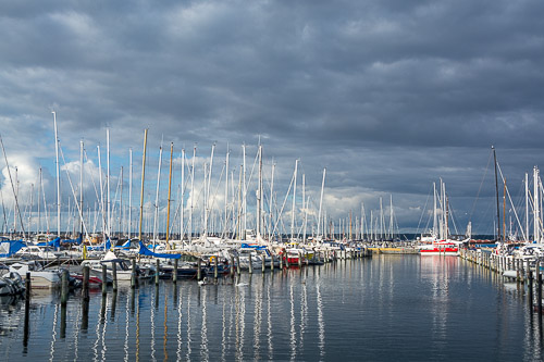 DSC_7439.jpg