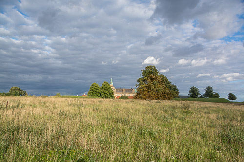 DSC_7455.jpg