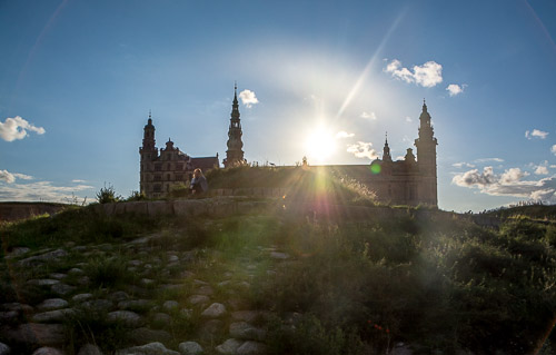 DSC_7529.jpg
