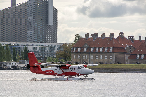 DSC_7553.jpg
