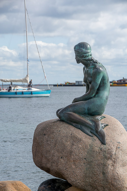 DSC_7554.jpg