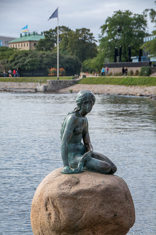 DSC_7556.jpg
