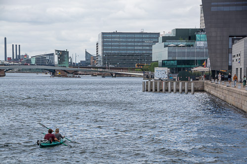 DSC_7592.jpg