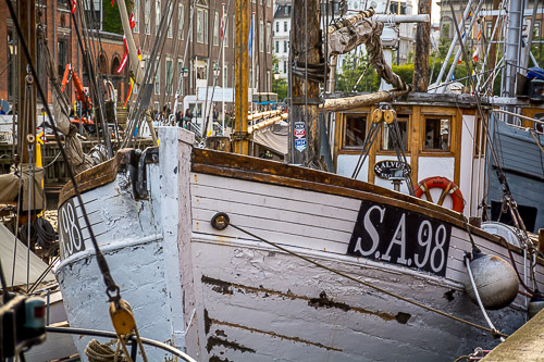 DSC_8735.jpg