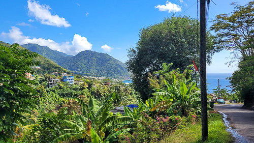 DSC_9692_20260223_132743.jpg