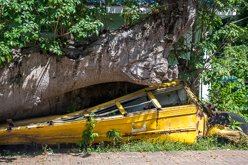 DSC_9736.jpg