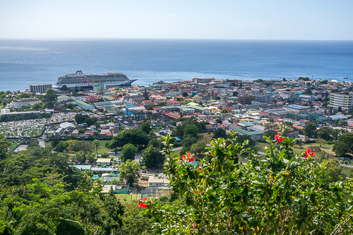 DSC_9754.jpg