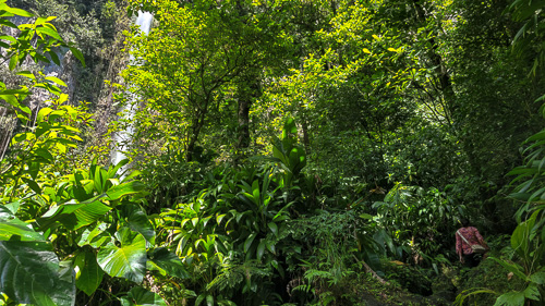 DSC_9881_20260224_125837.jpg