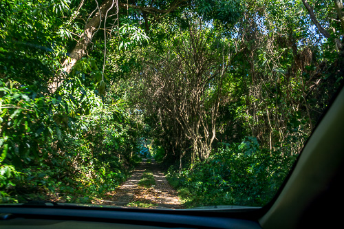 DSC_9900.jpg
