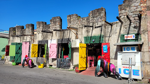 DSC_9935_20260225_093446.jpg