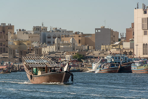 dsc_2164.jpg