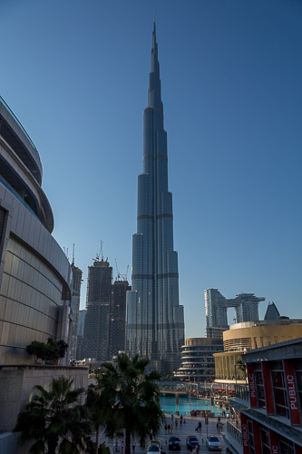 dsc_3200.jpg