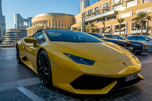 dsc_3207.jpg