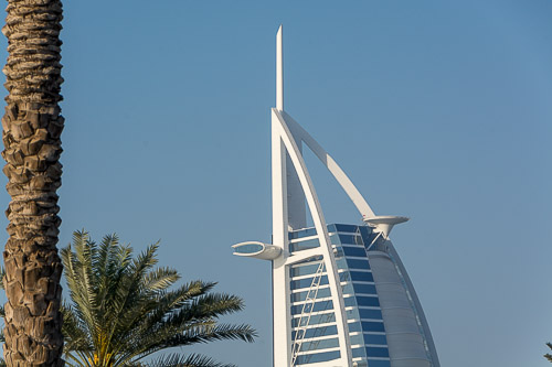dsc_3617.jpg