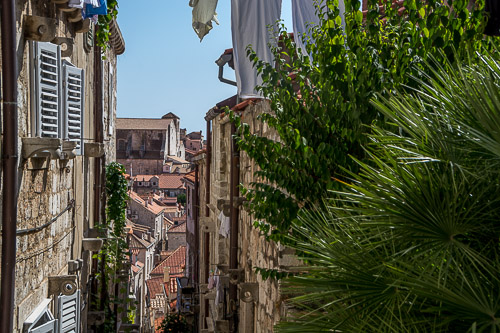 dsc_7138.jpg