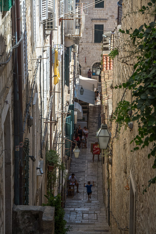 dsc_7156.jpg