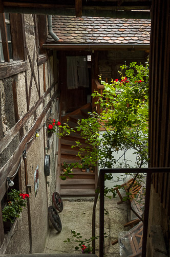 dsc_0273.jpg