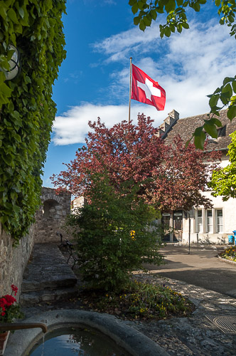 dsc_0364.jpg