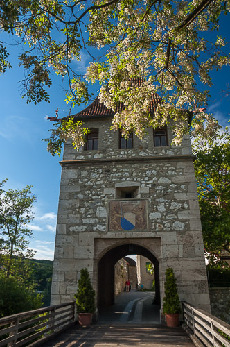 dsc_0371.jpg