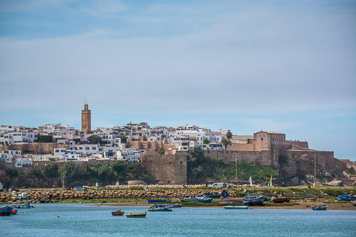 DSC_0411.jpg