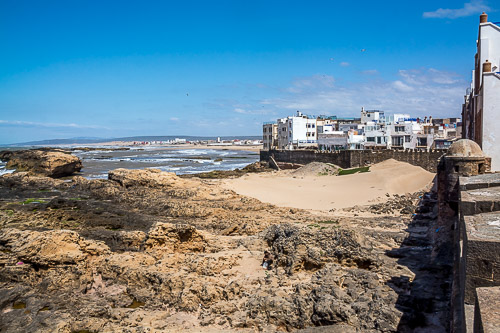 DSC_0768.jpg