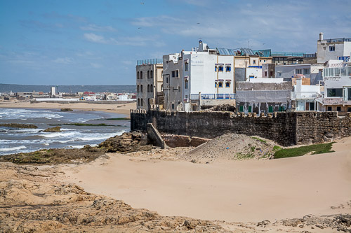 DSC_0771.jpg