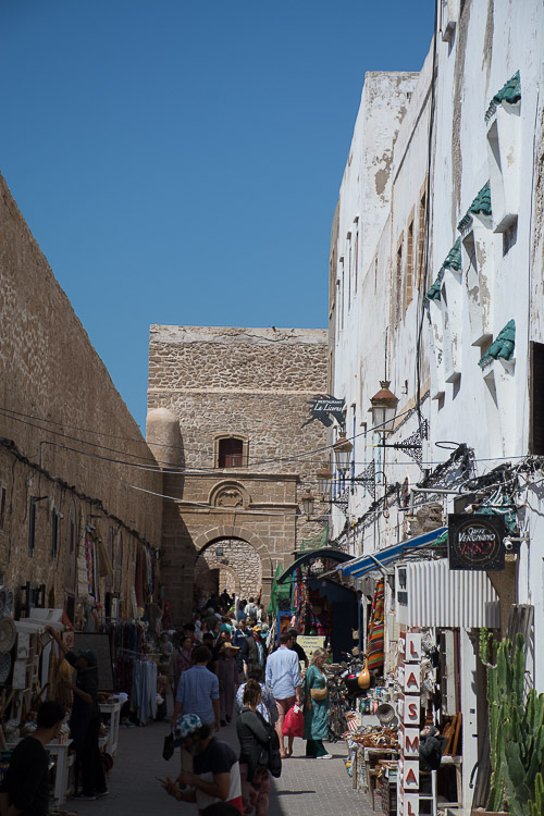 DSC_0799.jpg