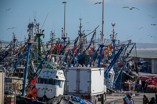 DSC_0872.jpg