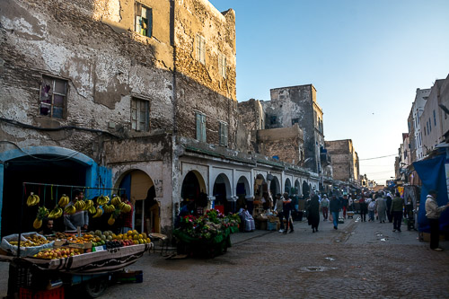 DSC_0920.jpg