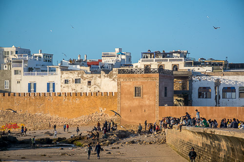 DSC_0937.jpg